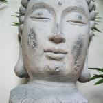Buddha Head Medium