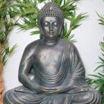 Buddha Meditate