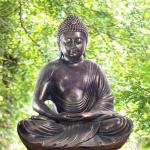 Buddha Meditate