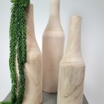 Paula SET Deko-Holzflaschen mit Pflanze
