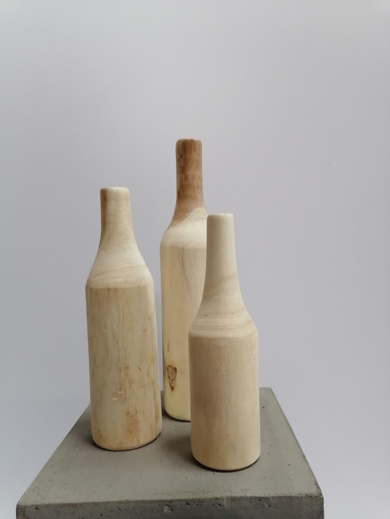 Paula SET Deko-Holzflaschen mit Pflanze